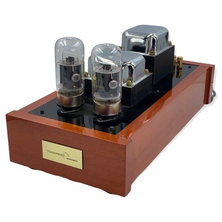 6550W MONOBLOCK TUBE AMPLIFIER ARTEMIS TSAKIRIDIS DEVICES