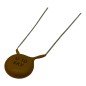 10pF 6KV 6000V Radial Ceramic Capacitor