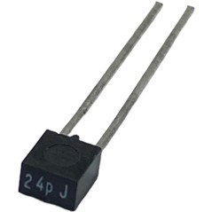 24pF 100V 2% Radial Ceramic Capacitor CG