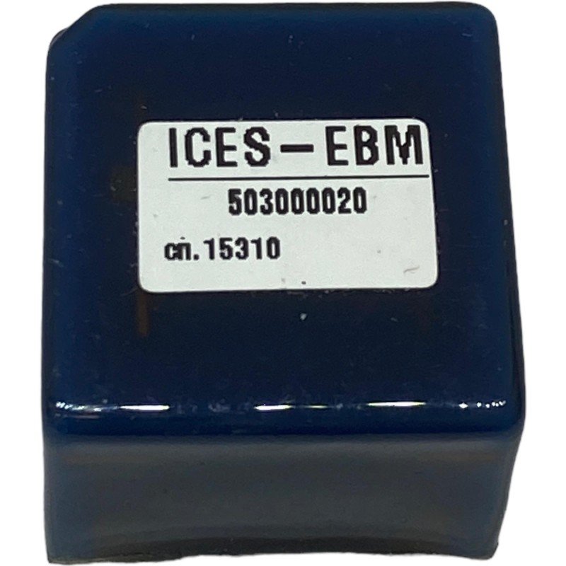 50300020 ICES-EBM 10 Pin Transformer