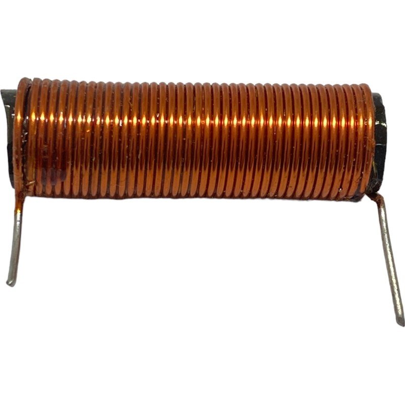 45uH Radial Inductor 37x11.5mm