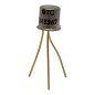2N3367 GTC N Channel Goldpin Mosfet Transistor