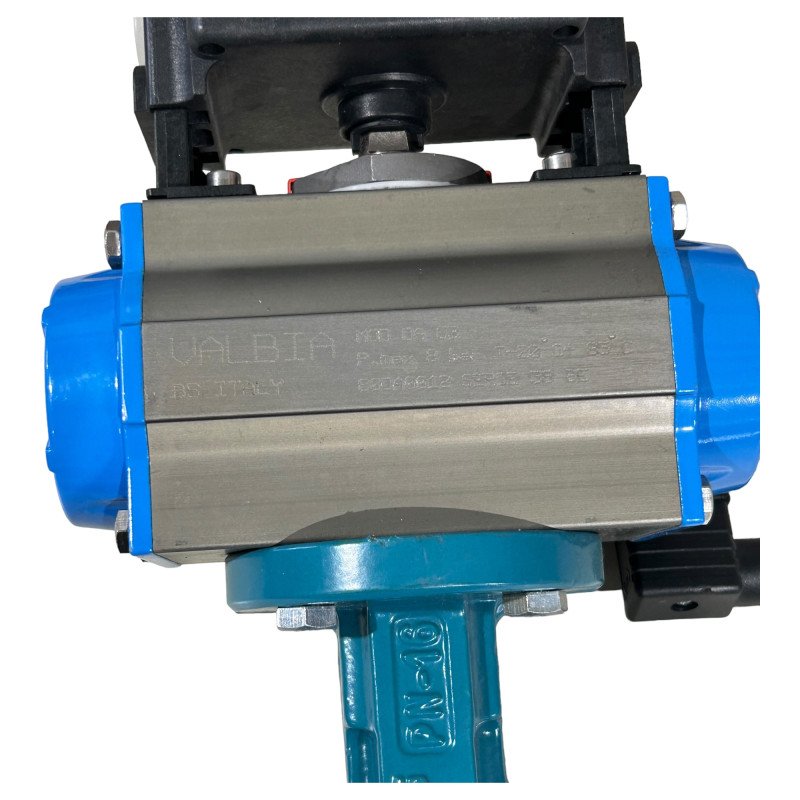 BUTTERFLY VALVE DNSO 2 GGG.40 SP012H9-2 ASSEMBLY