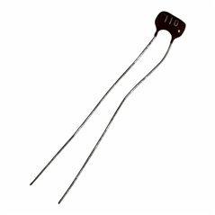 Capacitor Radial Silver Mica 110pF 300V 2%