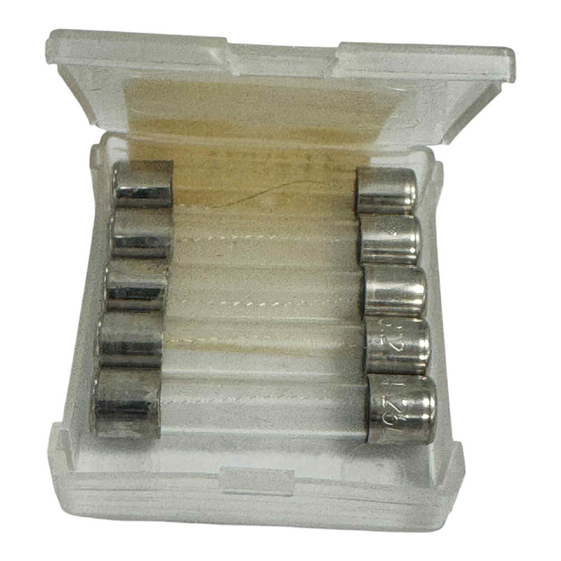 Slow Blow Fuse 1A/250V [Qtyx5]