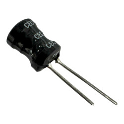 CW9C CEC Radial Inductor 100uH