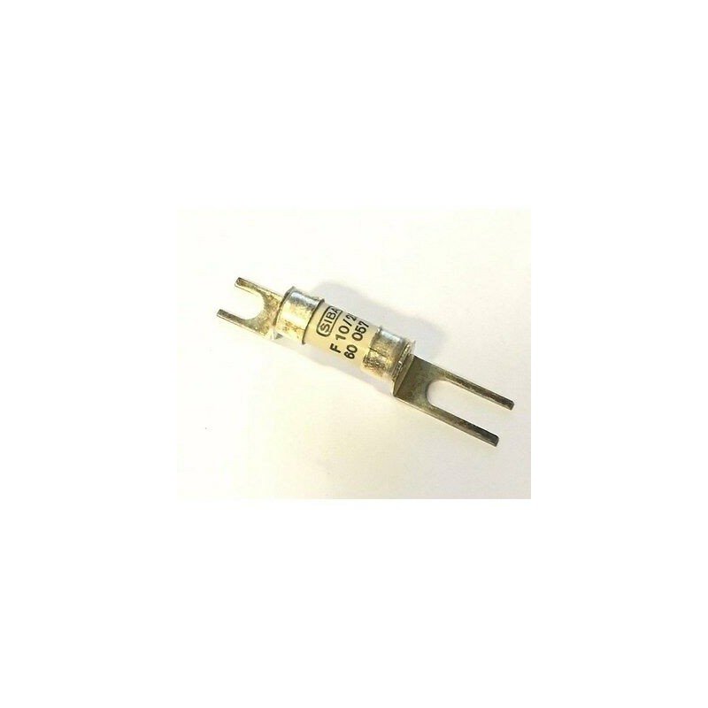 10A 250V INDUSTRIAL FUSE SIBA