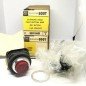 Allen-Bradley 800T-B6D1 800T-N13 Push Button Extended Head 30mm Red NEMA 4/13