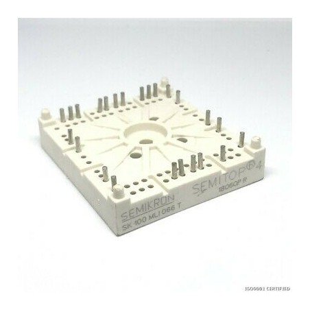 SK100MLI066T IGBT SEMIKRON