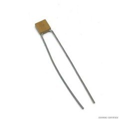 2.5PF 200V CERAMIC CAPACITOR MIL SPEC KEMET CCR05C2H2