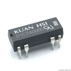 D1C240000 24V SPDT REED RELAY