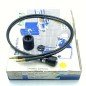 FSE050A1003 SENSOR BAUMER