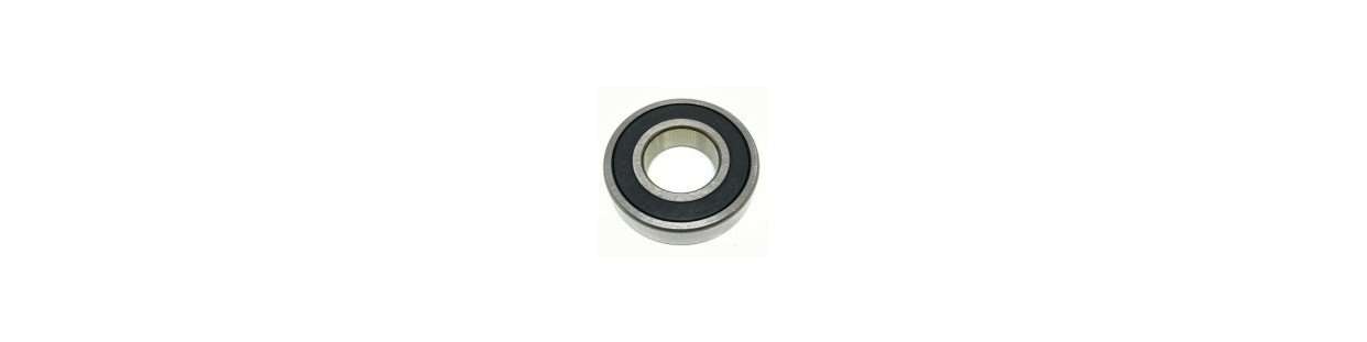 Bearing & Gasket