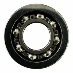 Bearing & Gasket